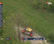 WRC Croatia 2024 SS10 Tanak Wild Moment from liopard attack wild