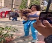 Georgia Andriani was seen outside a gym in Bandra with her puppy...#georgiaandriani #instantbollywood #pb from geethma bandara hot seen