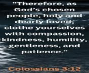 Bible Famous Quote and Bible Verse (New Testament -COLOSSIANS 3:12)