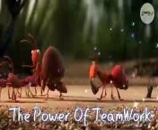 Teamwork and Leadership _ Animated short clip _ Creative 360 _ #teamwork #leadership #motivation from mlw creative