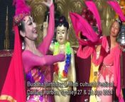 Buddha's Birthday Multicultural Festival , Darling Harbour, 27 Apr 2024 from jony darling hindi audio