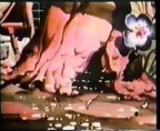 Woody Woodpecker & Friends 1997 VHS (Full Tape) from song of 1997