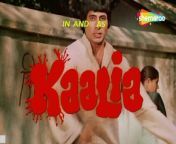 Theme Music | Kaalia | (1981) | Entertainment World from vk entertainment