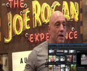 The Matrix is Real.. _ Joe Rogan from in matrix t what is the value of element t13