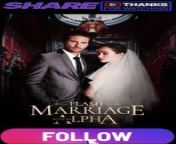 flash marriage with my alpha PART 1 | Full Movie 2024 #drama #drama2024 #dramamovies #dramafilm #Trending #Viral from the flash season 6 episode 15 free