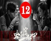 哈尔滨一九四四12 - In the Name of the Brother 2024 Ep12 Full HD from meri brother ki dulhan movie