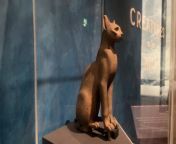 The exhibition at the Victoria Gallery &amp; Museum features a bronze statue which entombed a mummified cat and the 3,500-year-old Book of the Dead.