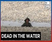 Mass fish kill in Vietnam as heatwave roasts Southeast Asia&#60;br/&#62;&#60;br/&#62;Hundreds of thousands of fish have died in a reservoir in southern Vietnam&#39;s Dong Nai province, with locals and media reports suggesting a brutal heatwave and the lake&#39;s management are to blame.&#60;br/&#62;&#60;br/&#62;Video by AFP&#60;br/&#62;&#60;br/&#62;Subscribe to The Manila Times Channel - https://tmt.ph/YTSubscribe &#60;br/&#62;&#60;br/&#62;Visit our website at https://www.manilatimes.net &#60;br/&#62;&#60;br/&#62;Follow us: &#60;br/&#62;Facebook - https://tmt.ph/facebook &#60;br/&#62;Instagram - https://tmt.ph/instagram &#60;br/&#62;Twitter - https://tmt.ph/twitter &#60;br/&#62;DailyMotion - https://tmt.ph/dailymotion &#60;br/&#62;&#60;br/&#62;Subscribe to our Digital Edition - https://tmt.ph/digital &#60;br/&#62;&#60;br/&#62;Check out our Podcasts: &#60;br/&#62;Spotify - https://tmt.ph/spotify &#60;br/&#62;Apple Podcasts - https://tmt.ph/applepodcasts &#60;br/&#62;Amazon Music - https://tmt.ph/amazonmusic &#60;br/&#62;Deezer: https://tmt.ph/deezer &#60;br/&#62;Tune In: https://tmt.ph/tunein&#60;br/&#62;&#60;br/&#62;#TheManilaTimes&#60;br/&#62;#tmtnews&#60;br/&#62;#vietnam &#60;br/&#62;#fishkill&#60;br/&#62;#dongnai