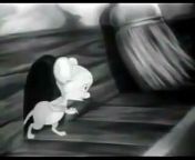 Looney Tunes - The Haunted Mouse - WARNER BROS CARTOONS from 5 bairstow warner jpg