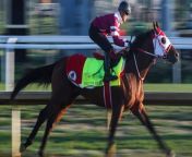 Kentucky Derby Preview: Some Top Picks and Dark Horses from naomi pohotosvillage video 2015 leone hot photo and