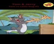 Tom &amp; Jerry-Tom Vs Little Dog-P1 &#124; Top Cartoons &#124; Tom and Jerry Cartoon &#124; Cartoons for Kids &#124;