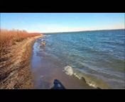 A video from November 2015, Mia retrieves ducks in rough water. The last duck drifted away from shore and Mia was so far out that I recalled her, fearing that she might get lost in the open water.
