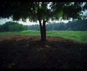 Manjummel Boys | Malayalam Movie | Part 2 from bangladeshi movie hot raped