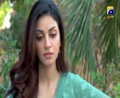 Shiddat Episode 28 Promo _ Tomorrow at 8_00 PM only on Har Pal Geo from shiddat ep 28