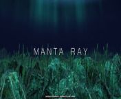 Manta Ray – Breaking the UUV mold from mona ray