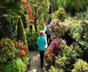Tony Newton, 74, and wife Marie, 76, have devoted 42 years and more than £15,000 transforming their ordinary suburban garden into an idyllic oasis.