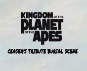 The tribute and burial ceremony for Caesar from Kingdom of the Planet of the Apes.