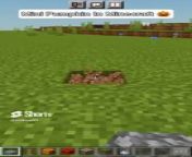 how to build mini pumpkin in Minecraft from b galinha pintadinha mini em