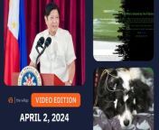 Here are today’s headlines – the latest news in the Philippines and around the world:&#60;br/&#62;- Marcos’ trust rating in Mindanao drops by 32 points in March, says Pulse Asia&#60;br/&#62;- Cyberattacks hit businesses linked to House Speaker Martin Romualdez&#60;br/&#62;- Philippines transitions to online voting for most overseas Filipinos in 2025&#60;br/&#62;- Israeli troops exit Gaza’s Shifa Hospital, leaving rubble and bodies&#60;br/&#62;- Dogs can associate words with objects, study finds&#60;br/&#62;&#60;br/&#62;https://www.rappler.com/video/daily-wrap/april-2-2024/