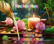 Soulful Serenity Relaxing Music for Stress Relief, Anxiety, and Deep Sleep Relaxing music Relieves stress, and Depression Heals the Mind, body and Soul meditation music,&#60;br/&#62;&#60;br/&#62;Unwind and rejuvenate with our soul-soothing compilation of relaxing music designed to relieve stress, anxiety, and depression while promoting deep, restful sleep. Let the gentle melodies wash over you, easing tension from your mind, body, and soul. Immerse yourself in a tranquil soundscape carefully crafted to heal and restore, guiding you towards a state of profound relaxation and inner peace. Whether you&#39;re seeking solace from the challenges of daily life or simply yearning for a restful night&#39;s sleep, allow yourself to be enveloped by the therapeutic power of this music. Embrace serenity and embark on a journey of holistic healing with our deeply calming melodies.