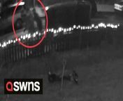 This is the moment yobs were caught on CCTV tipping a woman&#39;s three-wheeled Robin Reliant on its side. Kirsty Stevenson, 33, shared the shocking video of a group of people flipping her and her partner&#39;s car outside their house.Fuming Kirsty had just returned from taking her three-year-old trick or treating and was at first unaware of what had happened.The footage shows three males walking past the three-wheeled car and trying multiple times to tip it.But in their final attempt they were successful in pushing her and her partner Ben Alexander&#39;s classic motor over onto its side.It ruined the exterior with scratches and dents and knocked off the wing mirror following the incident Monday October 31 at 9.07pm.She says it is also highly possible the engine is broken meaning the car won&#39;t be able to run anymore.Kirsty, of Hayle, Cornwall, said: &#92;
