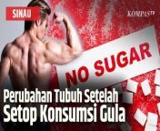 KOMPAS.TV - Gula memberikan kenikmatan dari rasa manis, dan tak heran banyak orang yang menyukainya. &#60;br/&#62; &#60;br/&#62;Kendati demikian gula dapat menimbulkan ketagihan dan baiknya batasi konsumsi gula dalam sehari. &#60;br/&#62; &#60;br/&#62;Melansir dari laman Kementerian Kesehatan Republik Indonesia , dalam satu hari baiknya konsumsi gula sebanyak 50 gram atau 5-9 sendok teh saja. &#60;br/&#62; &#60;br/&#62;Apa yang terjadi kalau seseorang berhenti mengonsumsi gula? &#60;br/&#62; &#60;br/&#62; Jarang sakit, tubuh yang kelebihan gula akan menimbulkan peradangan kronis dan menurunkan respons imun, sehingga tubuh rentan pilek. Tidur jadi lebih nyenyak karenamelatonin akan berfungsi lebih baik setelah stop konsumsi gula dan dampaknya tidur jadi lebih berkualitias. Pikiran jadi lebih tajam dan fokus, sebab berhenti mengonsumsi gula dapat meningkatkan produktivitas mental dan kognisi, pikiran akan lebih tajam seiring usia bertambah.Baca Juga Hindari Minum Obat Bersamaan dengan Makan Pisang &#124; SINAU di https://www.kompas.tv/video/459330/hindari-minum-obat-bersamaan-dengan-makan-pisang-sinau &#60;br/&#62; &#60;br/&#62;Editor Video: Dawud Majid &#60;br/&#62; &#60;br/&#62;Artikel ini bisa dilihat di :https://www.kompas.tv/video/459332/ini-yang-terjadi-pada-tubuh-setelah-berhenti-konsumsi-gula-sinau