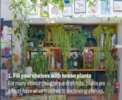 Tips and advice on how you can fill your shelves with house plants.