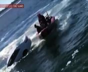 An incredible rescue was caught on video Saturday when members of the U.S. Coast Guard saved a man from a sinking car.