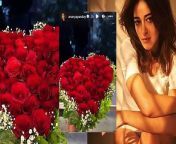 On the day of love, Valentine&#39;s Day, Ananya Panday received a lovely rose bouquet as she informed everyone about it by sharing a picture of it on Instagram. Here&#39;s how netizens reacted to it!&#60;br/&#62;&#60;br/&#62;#ananyapanday #adityaroykapur #screening #bollywood #adinya #katrina kaif #merrychristmas #bollywood #trending #datingrumors