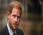 Prince Harry loses court battle for security in the UK, what does this mean for Archie and Lilibet? from amc security account