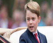 Prince George: Expert believes the royal may join the army when he grows up, just like Prince William from free games like roblox