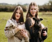 Rare Black and White Lamb Twins Born on a Farm in Wem