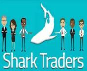 http://sharktraders.com/Shark Traders is a group of traders whose goals are permanent and reachable: to trade US stocks and make profit. We provide an access to NYSE, NASDAQ and AMEX exchanges through licensed brokers from 2011 and guarantee high quality service and safety of funds. Being trader-focused, Shark Traders offers you the best trading solutions and trading conditions.