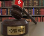 Hong Kong Passes , New Security Law.&#60;br/&#62;On March 19, lawmakers in Hong Kong unanimously passed Article 32.&#60;br/&#62;The national security bill &#60;br/&#62;&#92;