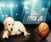 Jimmy welcomes back a panel of puppies to predict the results of the upcoming NCAA Championship between Final Four contenders South Carolina Gamecocks, Gonzaga Bulldogs, Oregon Ducks and North Carolina Tar Heels. &#60;br/&#62;