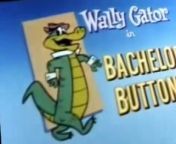 Wally Gator Wally Gator E012 – Bachelor Buttons from ptj gat