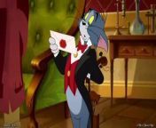 (Full) Tom and Jerry (2010) from tom and jerry nutcracker tales