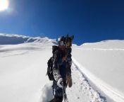 This man took his dog out for an adventure down a mountain in the Swiss Alps. As the man snowboarded down the hill, his dog excitedly chased after him. The man even held his furry friend while sliding down, making it an enjoyable experience for both.&#60;br/&#62;&#60;br/&#62;?The underlying music rights are not available for license. For use of the video with the track(s) contained therein, please contact the music publisher(s) or relevant rightsholder(s).?