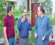 Bulbulay Season 2 Episode 246 20 April 2024 ARY Digital from asianet digital payment online