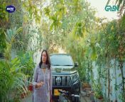 Let's Try Mohabbat EP 01 l Mawra Hussain l Danyal Zafar l Digitally Presented By Master Paints from mohabbat barsa dena tu by