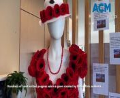 Gillin Park Community red poppy dress | Warrnambool Staqndard 2024 from poppy майнкрафт