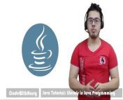 Java Programming tutorial (Literals in Java Programming) - This Java Complete Course video will teach you how to use literals in java in Hindi.&#60;br/&#62;Topics Discussed includes: Literals in Java, String, Character, Integer, Floating-point, Double and Boolean literals in Java and how to use them with variables in Java.&#60;br/&#62;►This playlist is a part of my Complete Java Course playlist: https://www.youtube.com/playlist?list=PLu0W_9lII9agS67Uits0UnJyrYiXhDS6q&#60;br/&#62;►Source Code + Notes - https://codewithharry.com/videos/java-tutorials-for-beginners-4&#60;br/&#62;►Ultimate Java CheatSheet: https://codewithharry.com/videos/java-tutorials-for-beginners-1&#60;br/&#62;&#60;br/&#62;►Checkout my English channel here: https://www.youtube.com/ProgrammingWithHarry&#60;br/&#62;►Click here to subscribe - https://www.youtube.com/channel/UCeVMnSShP_Iviwkknt83cww&#60;br/&#62;&#60;br/&#62;Best Hindi Videos For Learning Programming:&#60;br/&#62;►Learn Python In One Video - https://www.youtube.com/watch?v=ihk_Xglr164&#60;br/&#62;&#60;br/&#62;►Python Complete Course In Hindi - https://www.youtube.com/playlist?list=PLu0W_9lII9agICnT8t4iYVSZ3eykIAOME&#60;br/&#62;&#60;br/&#62;►C Language Complete Course In Hindi -&#60;br/&#62;https://www.youtube.com/playlist?list=PLu0W_9lII9aiXlHcLx-mDH1Qul38wD3aR&amp;disable_polymer=true&#60;br/&#62;&#60;br/&#62;►JavaScript Complete Course In Hindi - &#60;br/&#62; https://www.youtube.com/playlist?list=PLu0W_9lII9ajyk081To1Cbt2eI5913SsL&#60;br/&#62;&#60;br/&#62;►Learn JavaScript in One Video - https://www.youtube.com/watch?v=onbBV0uFVpo&#60;br/&#62;&#60;br/&#62;►Learn PHP In One Video - https://www.youtube.com/watch?v=xW7ro3lwaCI&#60;br/&#62;&#60;br/&#62;►Django Complete Course In Hindi -&#60;br/&#62;https://www.youtube.com/playlist?list=PLu0W_9lII9ah7DDtYtflgwMwpT3xmjXY9&#60;br/&#62;&#60;br/&#62;►Machine Learning Using Python - https://www.youtube.com/playlist?list=PLu0W_9lII9ai6fAMHp-acBmJONT7Y4BSG&#60;br/&#62;&#60;br/&#62;►Creating &amp; Hosting A Website (Tech Blog) Using Python - https://www.youtube.com/playlist?list=PLu0W_9lII9agAiWp6Y41ueUKx1VcTRxmf&#60;br/&#62;&#60;br/&#62;►Advanced Python Tutorials - https://www.youtube.com/playlist?list=PLu0W_9lII9aiJWQ7VhY712fuimEpQZYp4&#60;br/&#62;&#60;br/&#62;►Object Oriented Programming In Python - https://www.youtube.com/playlist?list=PLu0W_9lII9ahfRrhFcoB-4lpp9YaBmdCP&#60;br/&#62;&#60;br/&#62;►Python Data Science and Big Data Tutorials - https://www.youtube.com/playlist?list=PLu0W_9lII9agK8pojo23OHiNz3Jm6VQCH&#60;br/&#62;&#60;br/&#62;Follow Me On Social Media&#60;br/&#62;►Website (created using Flask) - http://www.codewithharry.com&#60;br/&#62;►Facebook - https://www.facebook.com/CodeWithHarry&#60;br/&#62;►Instagram - https://www.instagram.com/codewithharry/&#60;br/&#62;►Personal Facebook A/c - https://www.facebook.com/geekyharis&#60;br/&#62;Twitter - https://twitter.com/Haris_Is_Here
