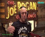 Episode 2139 Akaash Singh - The Joe Rogan Experience Video - Episode latest update&#60;br/&#62;Please follow the channel to see more interesting videos!&#60;br/&#62;If you like to Watch Videos like This Follow Me You Can Support Me By Sending cash In Via Paypal&#62;&#62; https://paypal.me/countrylife821 &#60;br/&#62;