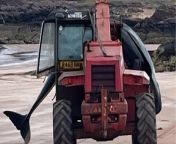 A pilot whale has died after becoming stranded on a beach - despite a desperate rescue attempt.&#60;br/&#62;&#60;br/&#62;The whale was discovered on Firemore Beach, north of Gairloch, on 4 May by a hillwalker who spotted the creature on the shore.&#60;br/&#62;&#60;br/&#62;Donna Hopton, Wester Ross coordinator medic for the British Divers Marine Life Rescue (BDMLR) was notified, and began recruiting local boat owners to help rescue the whale.