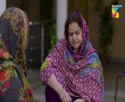 Sultanat - Episode 14 - 2nd May 2024 [ Humayun Ashraf, Maha Hasan & Usman Javed ] - HUM TV from the hum song
