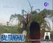 Limang araw na pala sa puno!&#60;br/&#62;&#60;br/&#62;&#60;br/&#62;Balitanghali is the daily noontime newscast of GTV anchored by Raffy Tima and Connie Sison. It airs Mondays to Fridays at 10:30 AM (PHL Time). For more videos from Balitanghali, visit http://www.gmanews.tv/balitanghali.&#60;br/&#62;&#60;br/&#62;#GMAIntegratedNews #KapusoStream&#60;br/&#62;&#60;br/&#62;Breaking news and stories from the Philippines and abroad:&#60;br/&#62;GMA Integrated News Portal: http://www.gmanews.tv&#60;br/&#62;Facebook: http://www.facebook.com/gmanews&#60;br/&#62;TikTok: https://www.tiktok.com/@gmanews&#60;br/&#62;Twitter: http://www.twitter.com/gmanews&#60;br/&#62;Instagram: http://www.instagram.com/gmanews&#60;br/&#62;&#60;br/&#62;GMA Network Kapuso programs on GMA Pinoy TV: https://gmapinoytv.com/subscribe