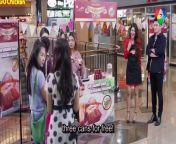 Tempting Heart (2024) ep 14 eng sub