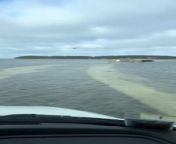 A person captured the roads of Wellfleet, Massachusetts, USA submerged in water. They drove through the road and ended up on a bridge, which was the only part that was not flooded.