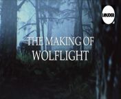 Steve Hackett on the making and ideas behind Wolflight, his 2015 album that he called &#92;