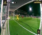 Portimonense vs Braga 3-5 Full Match Highlights 2024